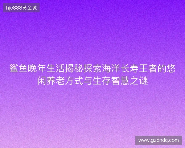 鲨鱼晚年生活揭秘探索海洋长寿王者的悠闲养老方式与生存智慧之谜