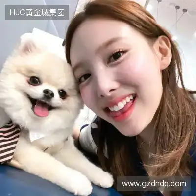 孔晏营